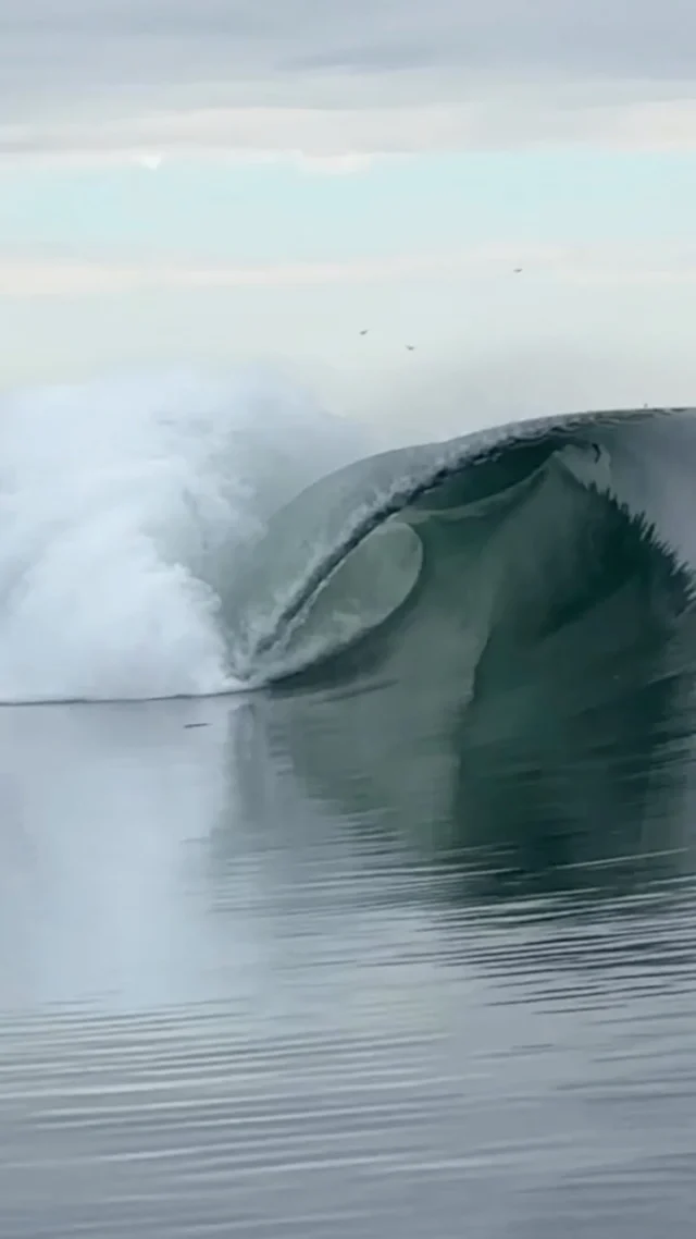 Hyperflex Wetsuits -